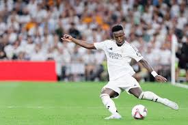 繁星点缀 繁星点缀